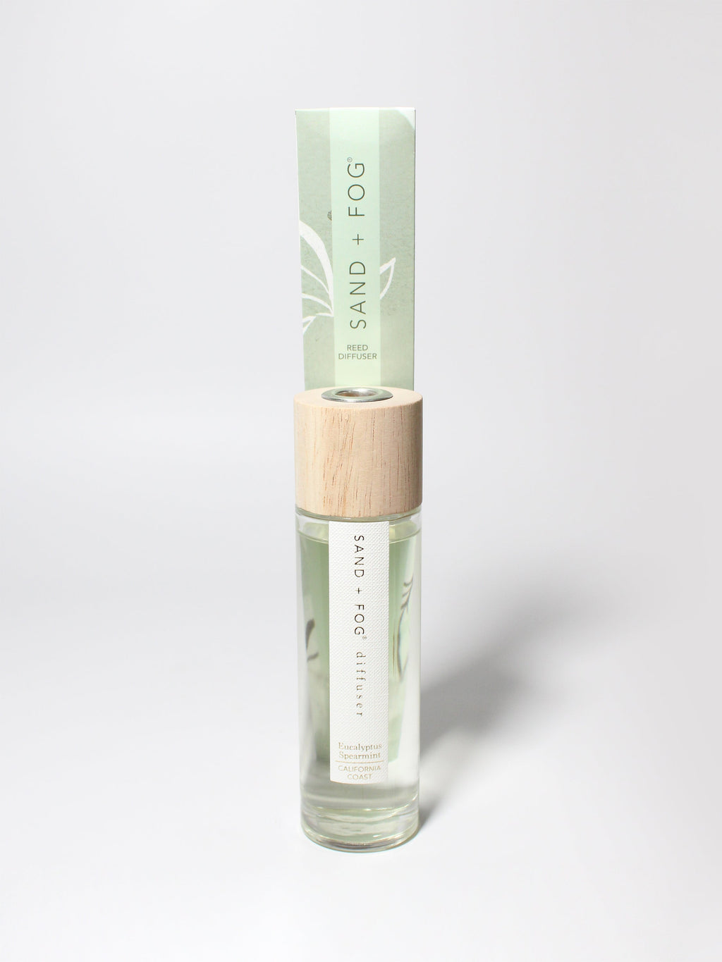 Home Elegant Aromatic Eucalyptus Spearmint 100 ml Reed Diffuser