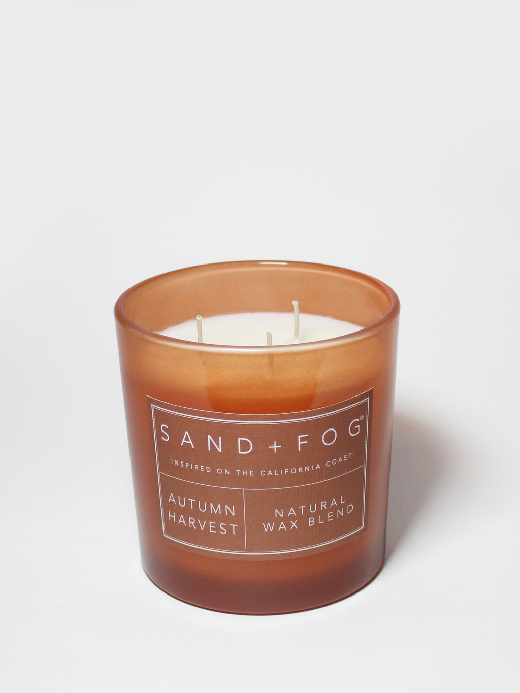 Hand-Poured Premium Cozy Autumn Harvest 21 oz scented candle
