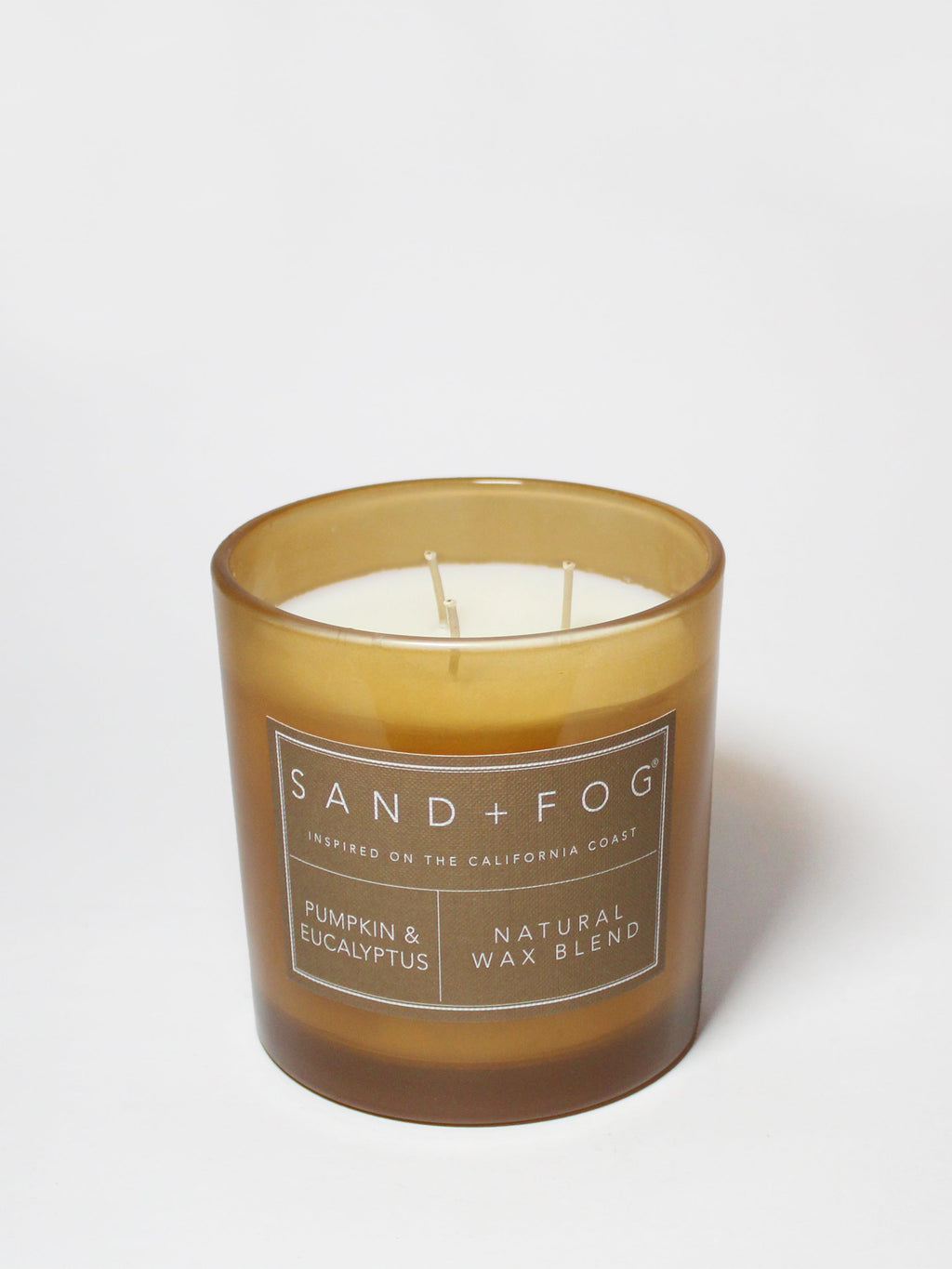 Hand-Poured Premium Cozy Pumpkin & Eucalyptus 21 oz scented candle