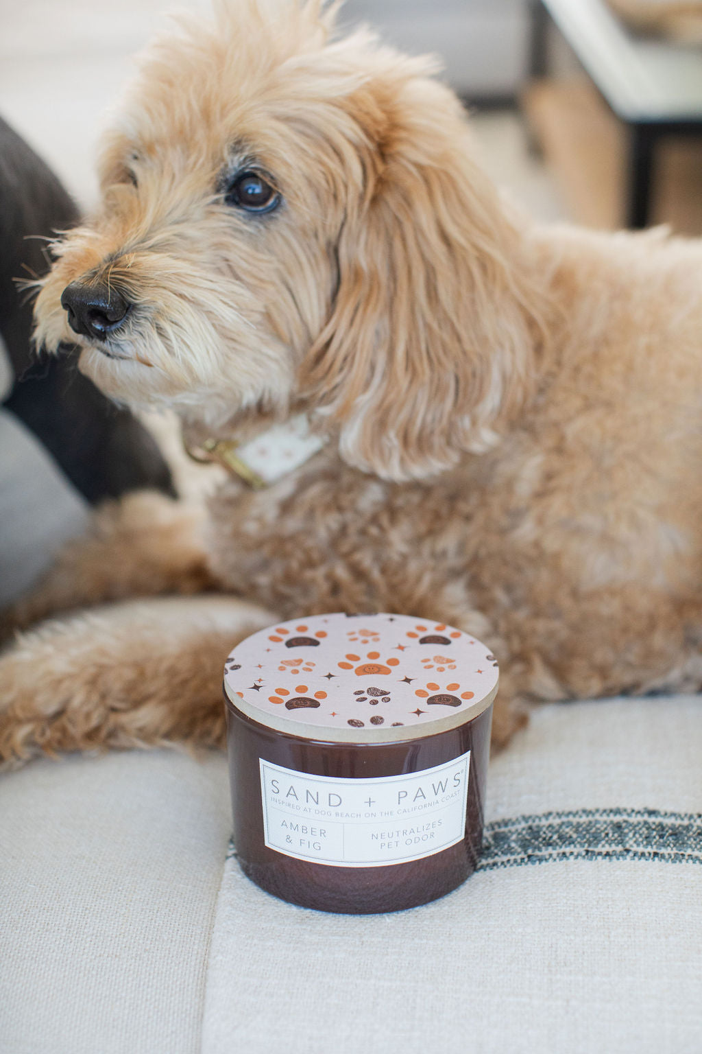 Hand-Poured Premium Cozy Sand + Paws Amber & Fig 12 oz scented candle
