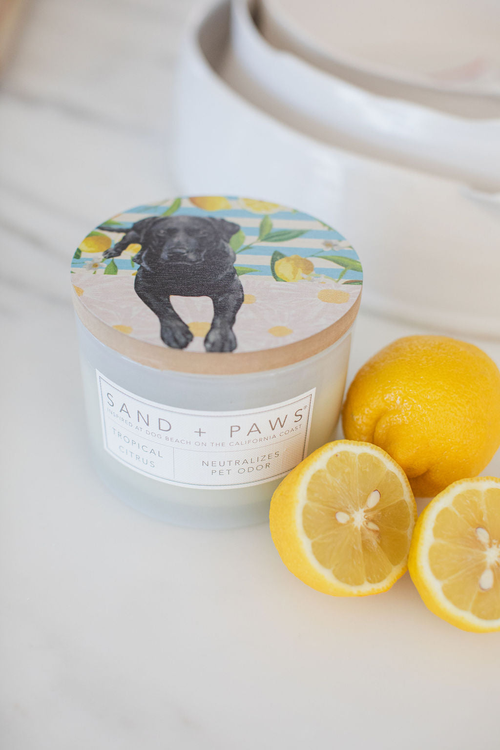 Hand-Poured Premium Cozy Sand + Paws Tropical Citrus 12 oz scented candle