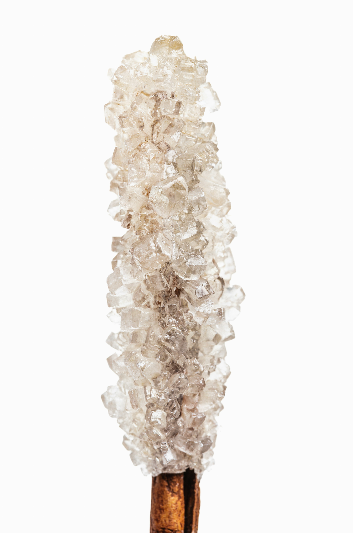 Botanical Alluring Elegant Vanilla Sugar 100 ml Eau de Toilette