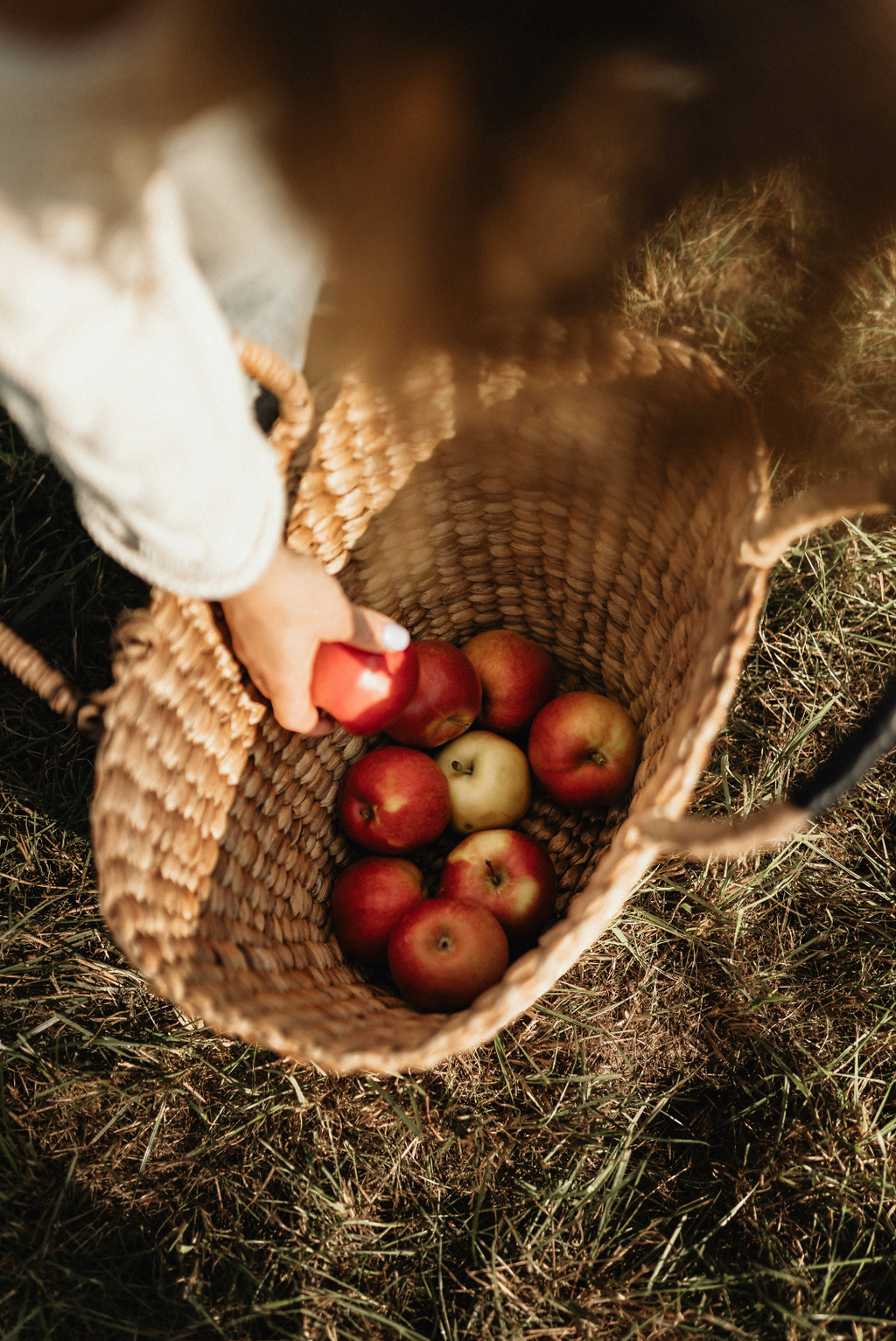 Hand-Poured Premium Cozy Apple Picking 12 oz scented candle