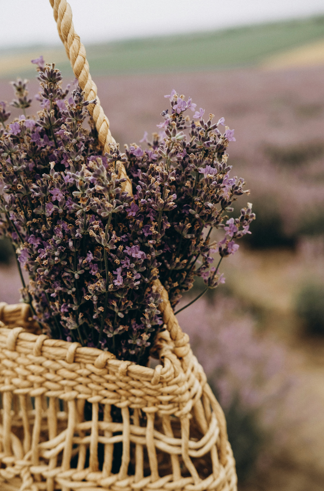 Hand-Poured Premium Cozy Cedar Lavender 21 oz scented candle