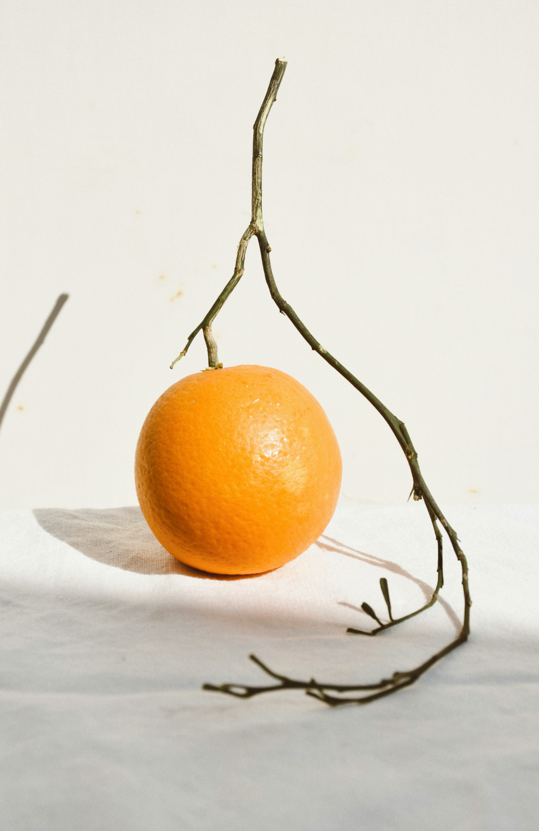 Hand-Poured Premium Cozy Citrus & Sandalwood 21 oz scented candle