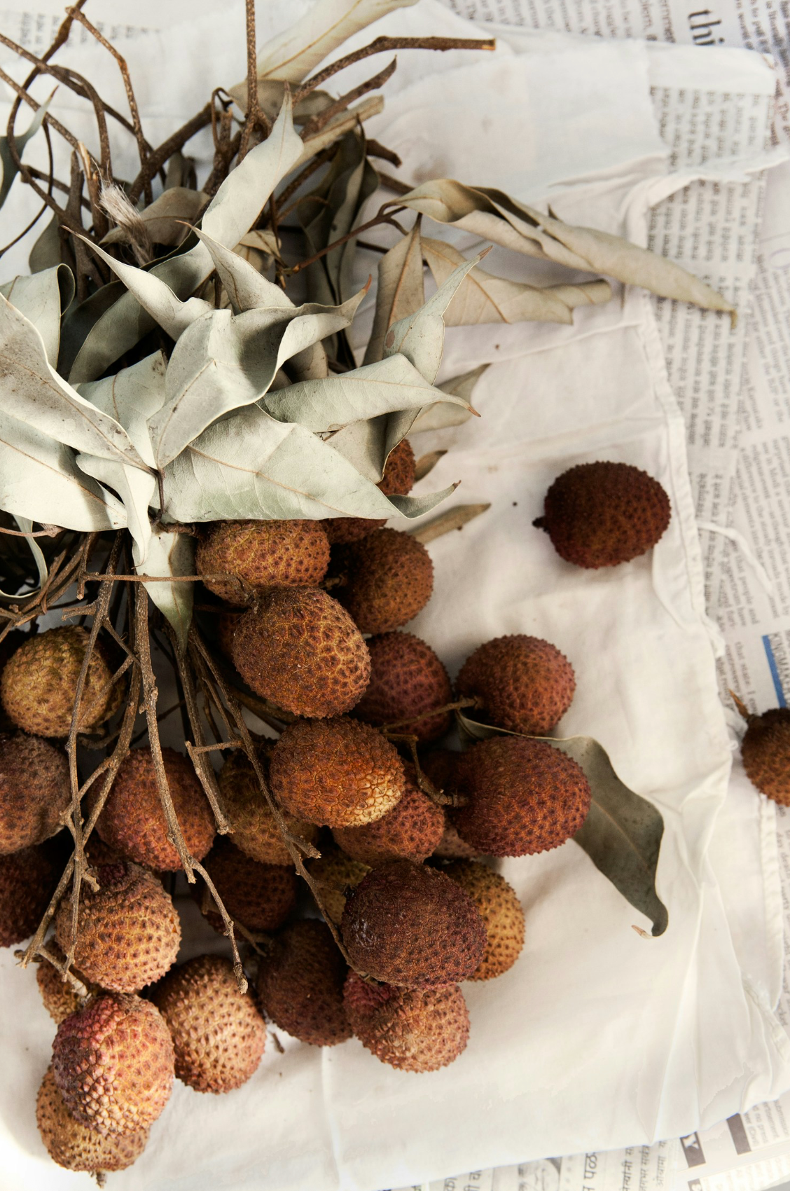 Hand-Poured Premium Cozy Coconut & Lychee 12 oz scented candle