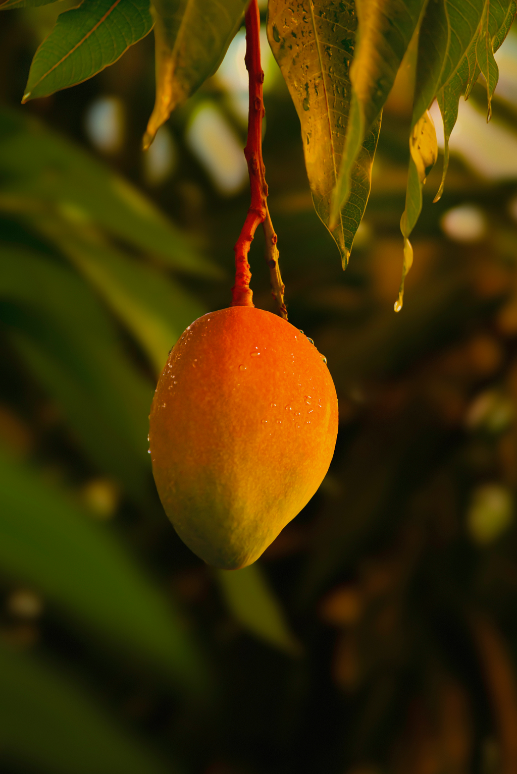 Plant-Based Effective Signature Guava Mango 25.4 oz All-Purpose Spray Cleaner