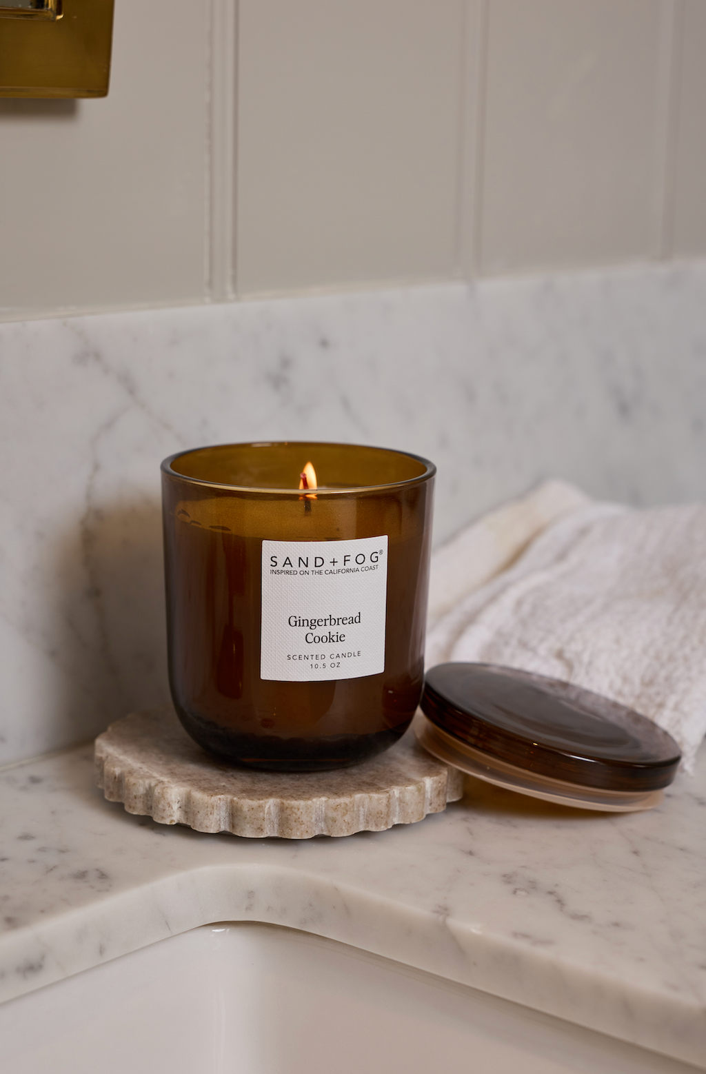 Hand-Poured Premium Cozy Gingerbread Cookie 10.5 oz scented candle