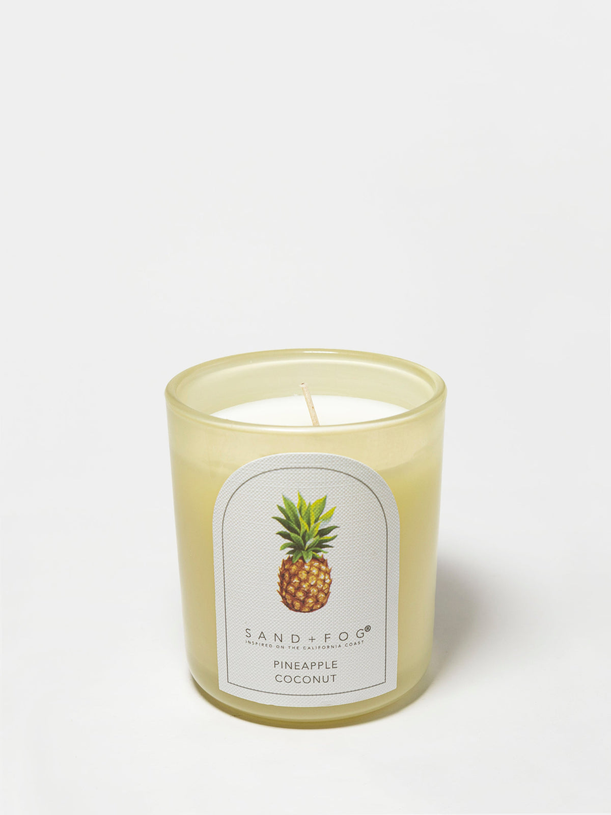 Hand-Poured Premium Cozy Pineapple Coconut 10 oz scented candle