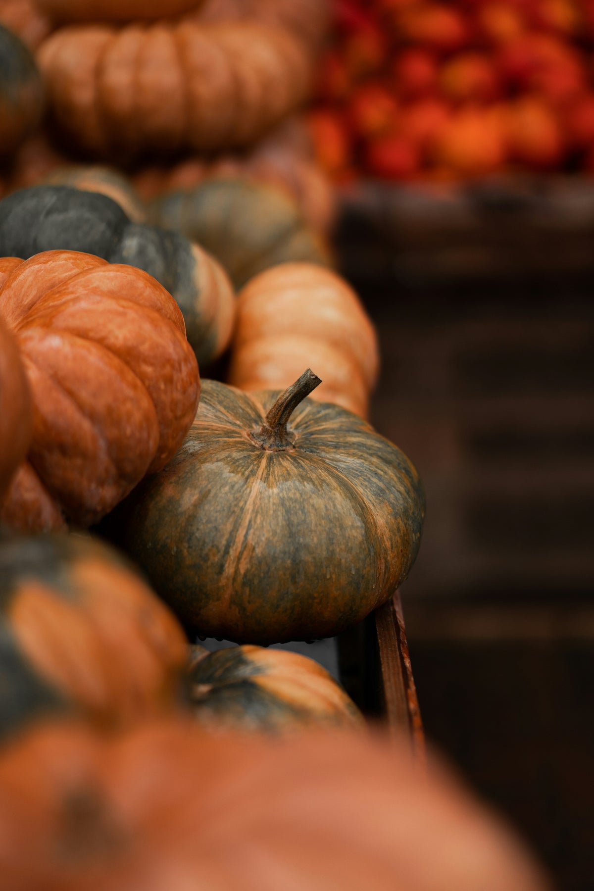 Hand-Poured Premium Cozy Cinnamon Pumpkin 12 oz scented candle
